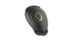 Stryd App Interface